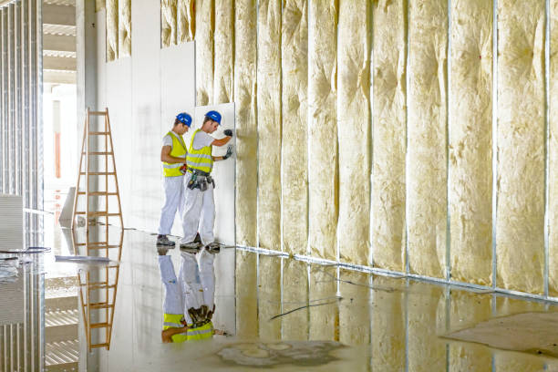 Best Insulation Inspection Services  in Roosevelt, UT